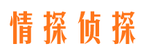 浉河出轨调查